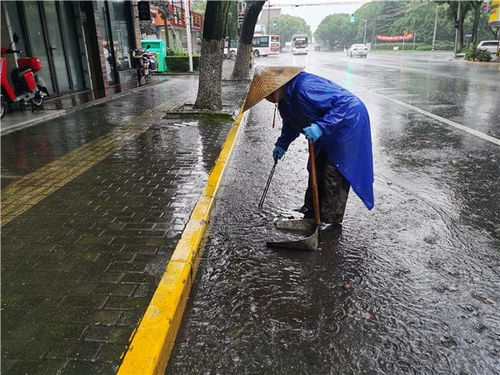 金山呂巷鎮(zhèn)水利設(shè)施再升級 年內(nèi)建成6座水閘，明年補(bǔ)強(qiáng)防汛短板